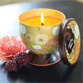 Gallerie Collection