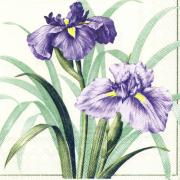 IHR Servietten Lunch 33x33cm Empress cream purple