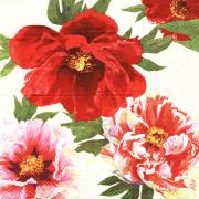 IHR Servietten Lunch 33x33cm Peony cream
