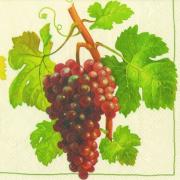 IHR Servietten Lunch 33x33cm Blanc ou Rouge cream