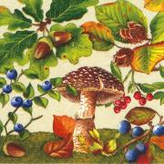 IHR Servietten Lunch 33x33cm Woodland Herbstwald creme