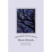 Bridgewater Candle Sachet Moon Struck