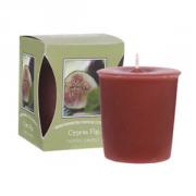 Bridgewater Candle Votivkerze Cyprus Fig