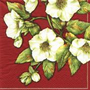 IHR Servietten Cocktail 25x25cm Hellebores red
