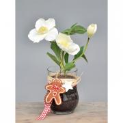 Christrose in Gel Schneerose mit Glasgef�� 27cm