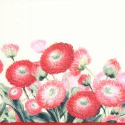 IHR Servietten Lunch 33x33cm Bellies pink-creme