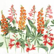 IHR Servietten Cocktail 25x25cm Lupine white