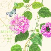 Ambiente Servietten Cocktail 25x25cm Hibiskus