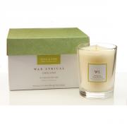 Colony Wax Lyrical Yuzu & Lime Kerzenglas klein Set/4
