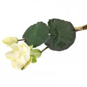 Lotus Bl�te Seidenblume m. Knospe u. Blatt creme 48cm