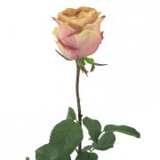 Dutchessrosenknospe Rose Seidenblume malve 92cm