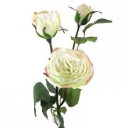 Ecuadorrose Rose Seidenblume creme wei� 45cm
