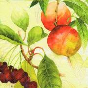 IHR Servietten Lunch 33x33cm Nature�s Best