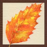 IHR Servietten Cocktail 25x25cm Autumn Solitaire braun