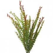 Klebsamenbusch Kunstpflanze Klebsamen grün-gelb 61cm