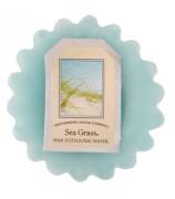 Bridgewater Candle Duftwachs Wafer Sea Grass