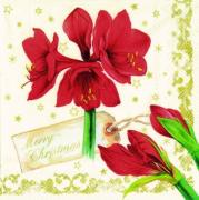 IHR Servietten Cocktail 25x25cm Amaryllis Collage creme