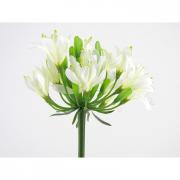 Agapanthus Premium-Seidenblume Schmucklilie wei� 74cm