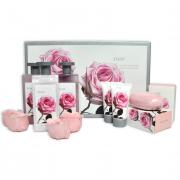 Penningtons Rose Luxus Rosen Geschenkset 11tlg.