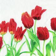 IHR Servietten Cocktail 25x25cm Tulpen rot