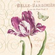 Ambiente Servietten Lunch 33x33cm Tulpe