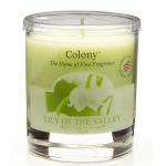 Colony Lily of the Valley Duftkerze im Glas klein