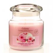 Colony Cherry Blossom Duftkerze im Glas