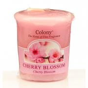 Colony Cherry Blossom Homescenter Votivkerze