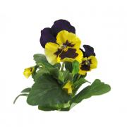 Stiefm�tterchen Pflanze Kunstpflanze 14cm lila gelb