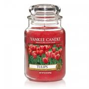 Yankee Candle Tulips Housewarmer 625g