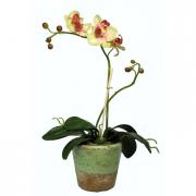 Orchidee Kunstblume Phalaenopsis getopft 42cm