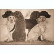 XL Designer Velour Fussmatte Labrador 75x50cm