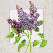 IHR Servietten Cocktail 25x25cm Syringa Flieder