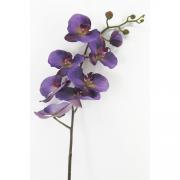 Orchidee Phalaenopsis Premium XL Bltenzweig lila 106cm