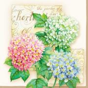 Ambiente Servietten Lunch 33x33cm Hortensie