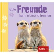 Groh Geschenkbuch Gute Freunde kann niemand trennen