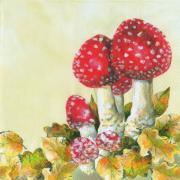 IHR Servietten Cocktail 25x25cm Fliegenpilz Herbst