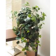 Weinlaub Kunstpflanze Cissus K�nigswein getopft 80cm