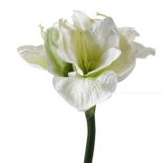 Amaryllis Seidenblume Kunstblume Textilblume wei� 45cm
