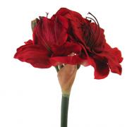 Amaryllis Seidenblume Kunstblume Textilblume rot 45cm