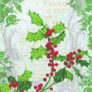IHR Servietten Cocktail 25x25cm Holly Collage Ilex