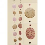 Capiz - Girlande Perlmutt 180cm beige-rosa Mod. B