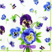 IHR Servietten Cocktail 25x25cm Violas Stiefm�tterchen