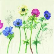 IHR Servietten Lunch 33x33cm Windflowers Anemonen