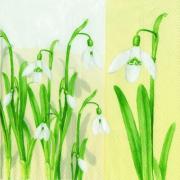 IHR Servietten Cocktail 25x25cm Snowdrop Schneegl�ckchen