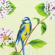 IHR Servietten Cocktail 25x25cm Early Bird Meise