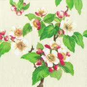 IHR Servietten Cocktail 25x25cm Blossom cream
