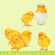 IHR Servietten Cocktail 25x25cm Easter Chicks K�ken Ostern