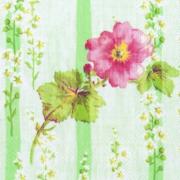 IHR Servietten Cocktail 25x25cm Spring Star green