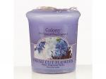 Colony Fresh Cut Flowers Homescenter Votivkerze